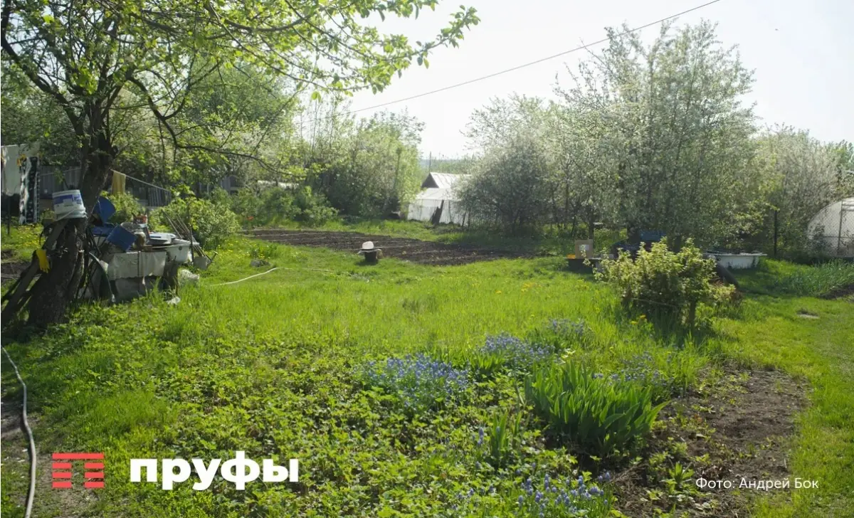 Неделя без полива на даче летом: какие растения выживут, а какие – нет