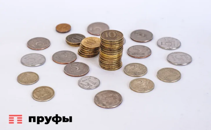 Стало известно, какие семьи в Башкирии смогут ежемесячно получать 10 434 рубля