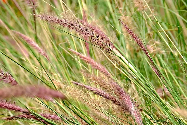 «Летающие незнакомцы»: районы Башкирии массово атаковали странные насекомые