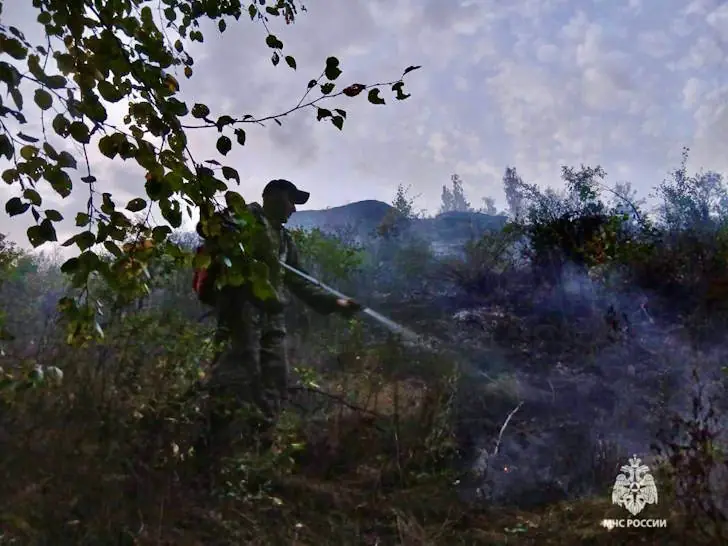 Пожары уничтожают леса Башкирии – МЧС объявляет повышенный класс опасности