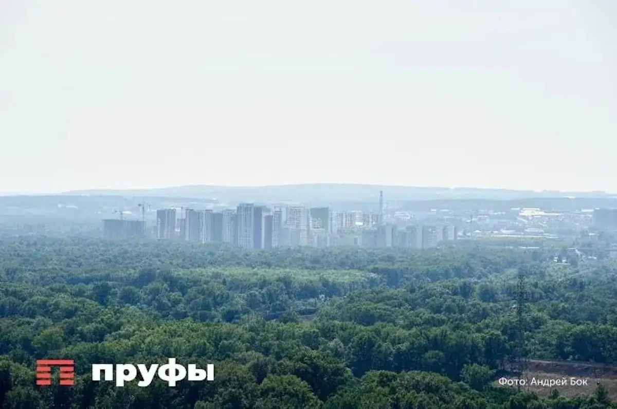 Золотодобытчиков из Казани обязали вернуть башкирскую землю