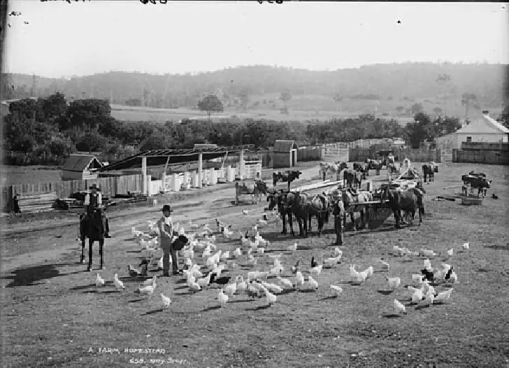 Почему огороды канадцев никогда не вымерзают: секрет от медведей гризли, который нам никак не повторить