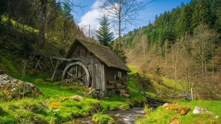 Точно не для русских: что собой представляют дачи в Германии 