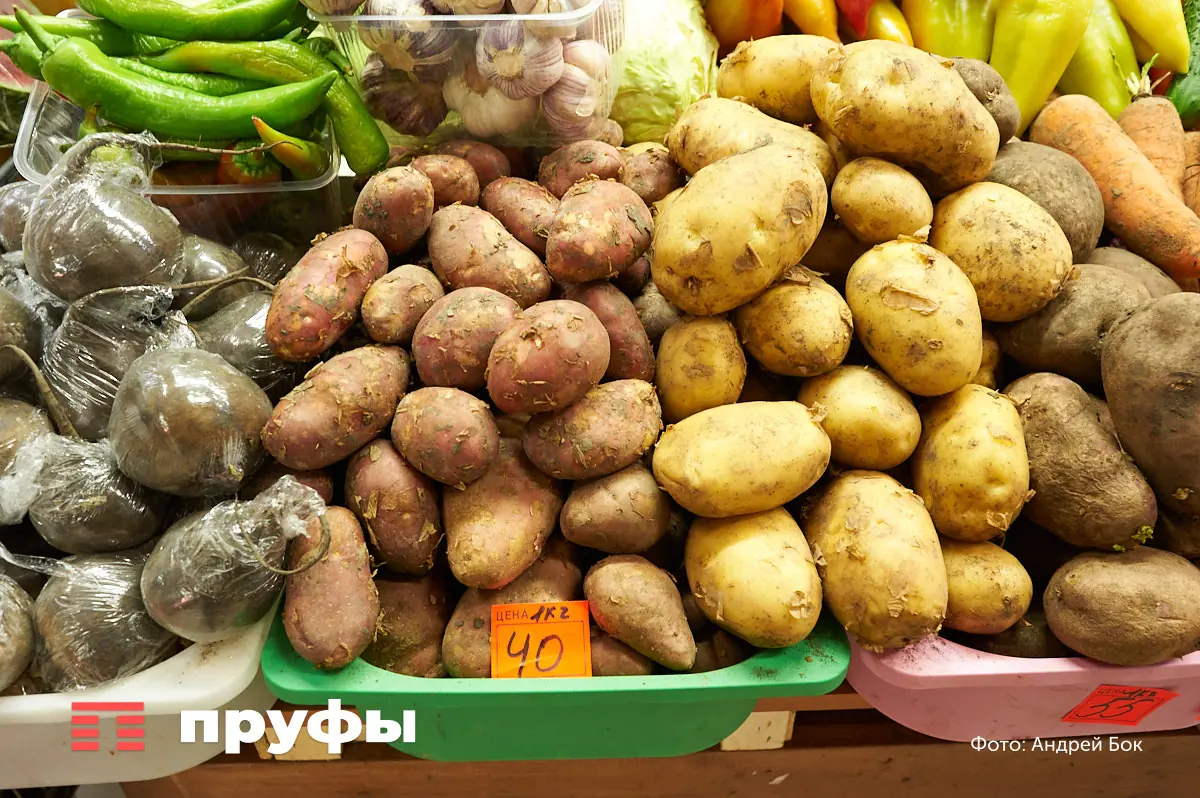 Когда точно нужно копать картофель: опытные огородники смотрят не на календарь 