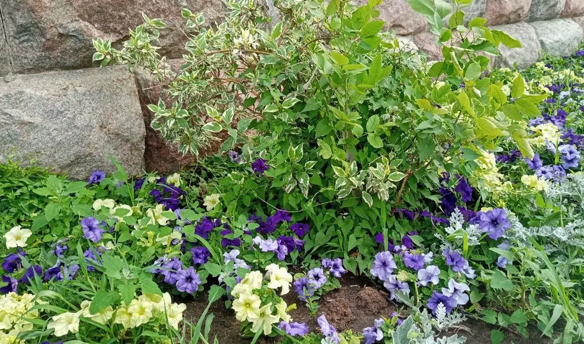 В Москве террористы планировали взорвать одного из высших чиновников России