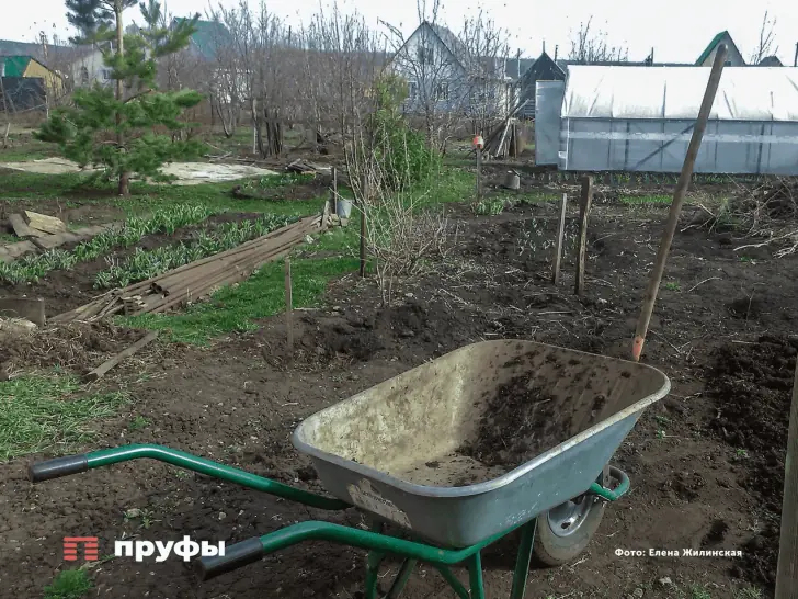 За теплицы придется платить? Эксперт разобрал новый «загородный» налог
