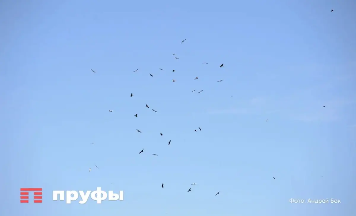 Массированная атака на Ростовскую область: пострадали дети, атакован склад Ozon