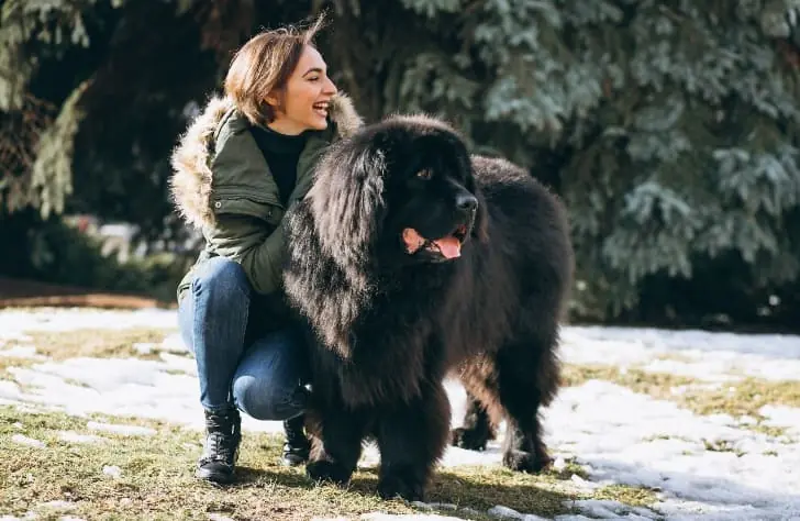 Названы породы собак, которых критически опасно держать в доме с детьми