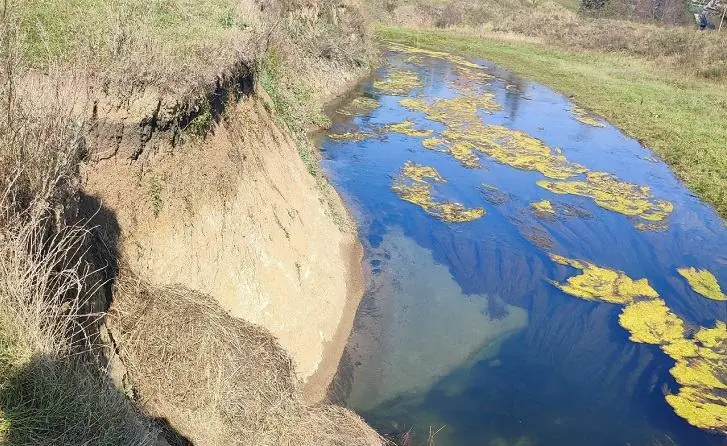 Река гниет заживо: сено и отходы уничтожают реку в Башкирии
