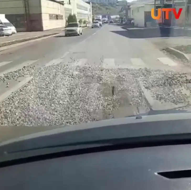 В Уфе новенький асфальт за 29 миллионов срезали из-за коммунальной аварии