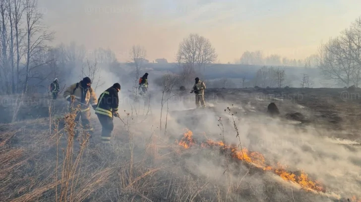 В Башкирии с 1 мая введут особый противопожарный режим для лесов