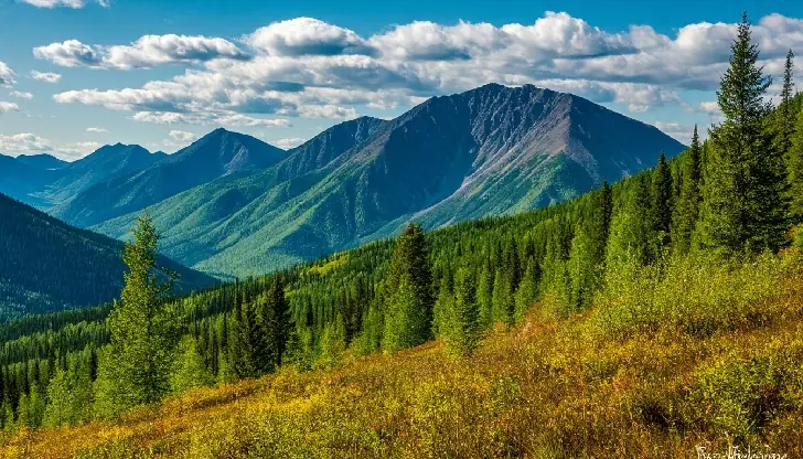 Вот, что от нас скрывали: какие тайны хранят Уральские горы