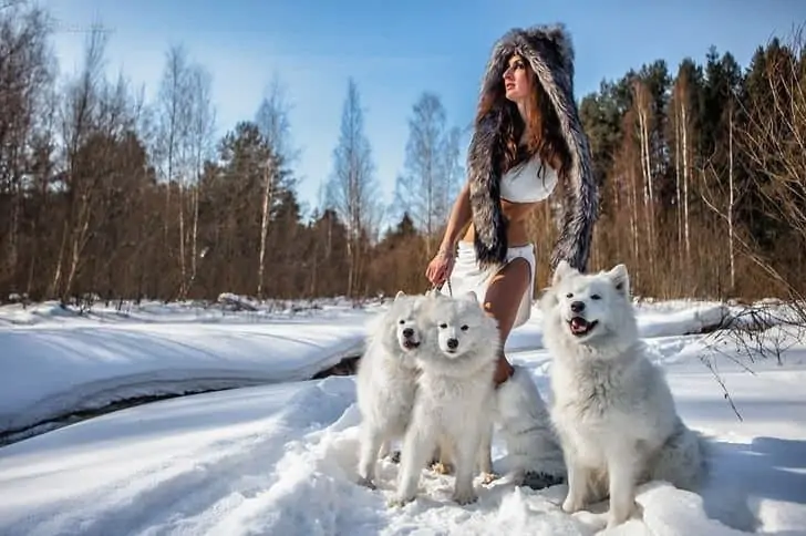 Кто приручил кого: человек собаку или собака человека? Исследование отношений