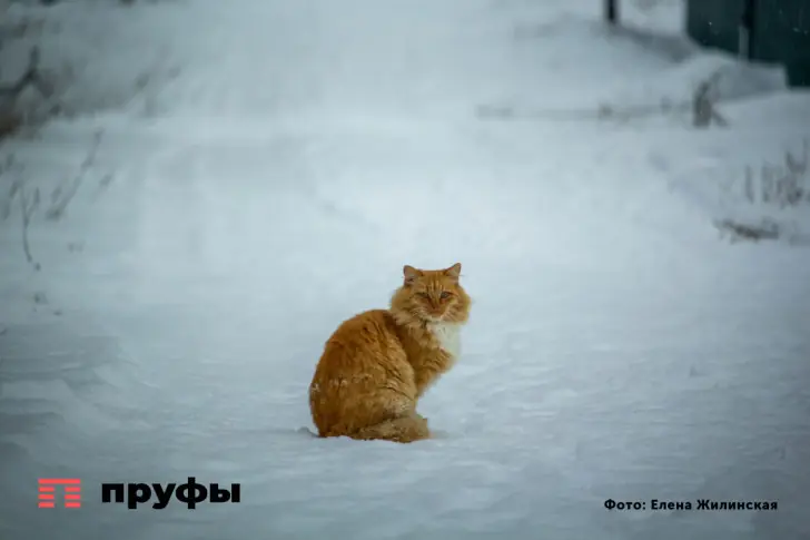 Лютые морозы ударят по Башкирии в ближайшие дни