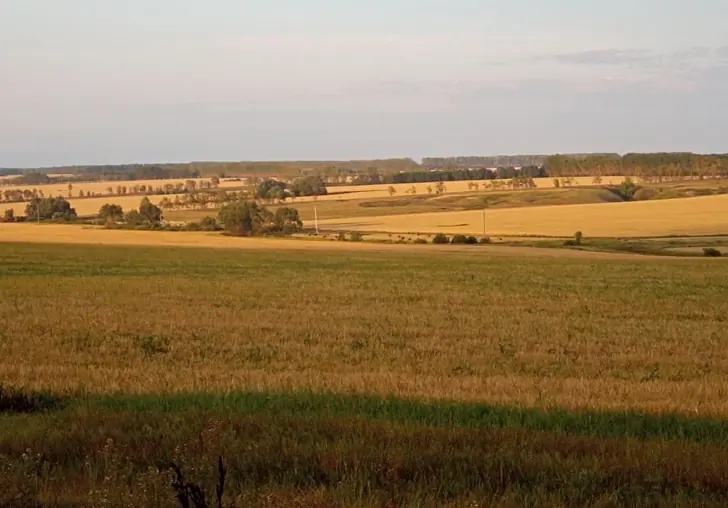 Тысячи тонн урожая Башкирии покинули республику