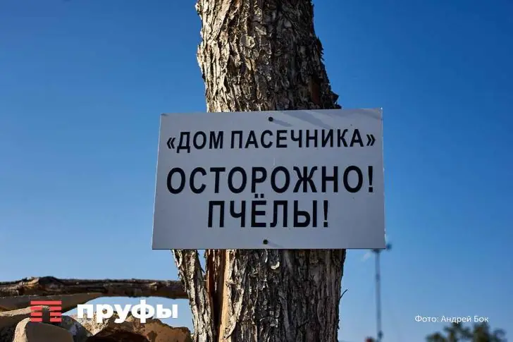 Башкирских пчел потравили с подсолнечником: стало известно, кто виноват