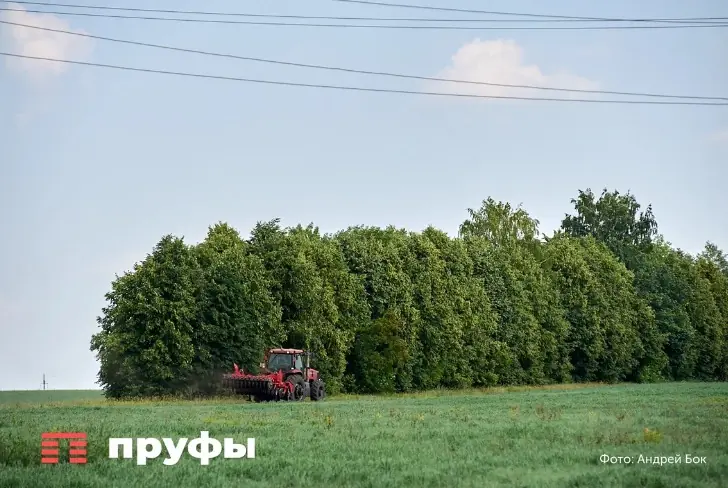 Башкирия бьет рекорды: производство рапса выросло почти на 50%