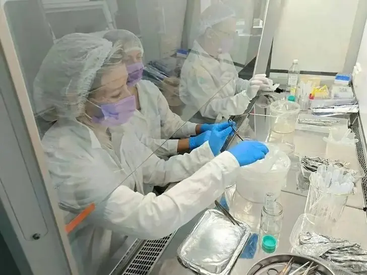 Ученые Башкирии создают прорывные технологии для фермеров и медиков