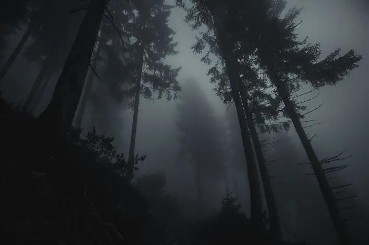 Короткий тест по Фрейду: каково ваше истинное отношение к жизни?