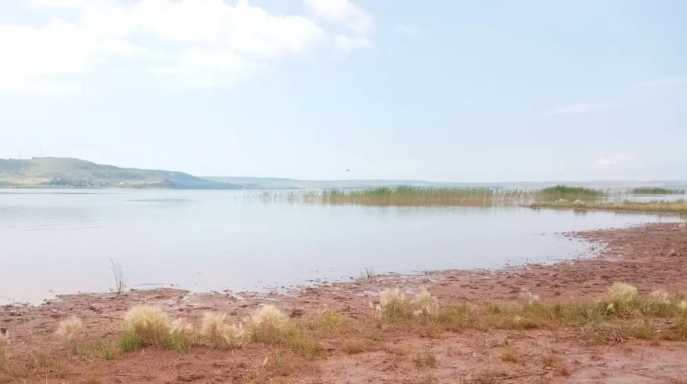 Аслыкуль, Голубое озеро и Кашкадан - под угрозой исчезновения. Эколог рассказал о цветении озер в Башкирии
