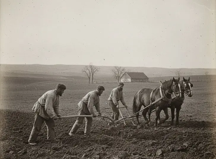 Крестьяне пахали землю на Урале и обомлели: обнаружили находку, которая изменила историю всей России
