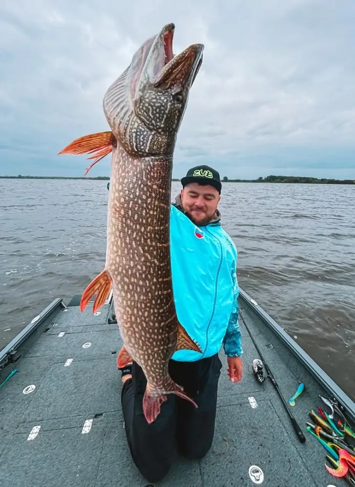 «Щука размером с лодку»: в России мужчина поймал здоровенную рыбу