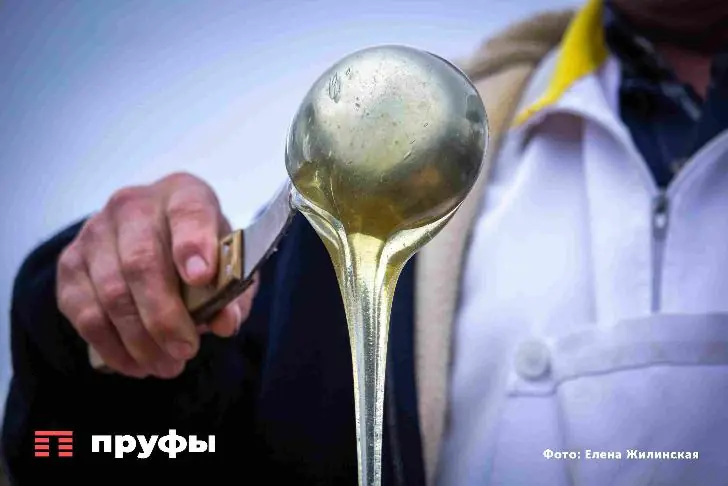 «Всё, что дороже – развод». Сколько стоит настоящий мёд – отвечает башкирский пчеловод