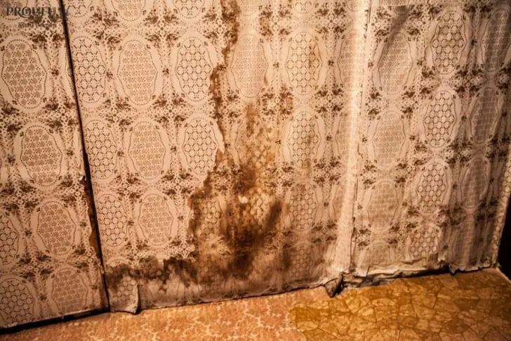 Страшный сон: это главные недостатки жизни в коммуналках в СССР 