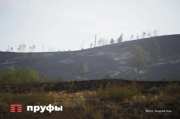 Неприятный запах и мухи: в Башкирии обнаружили «свалку» птичьего помёта