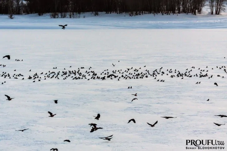 Погода на выходных в Башкирии изменится