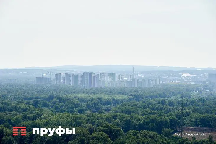 Проект «трава»: мэрия Уфы делает необычную закупку на 4,6 млн рублей