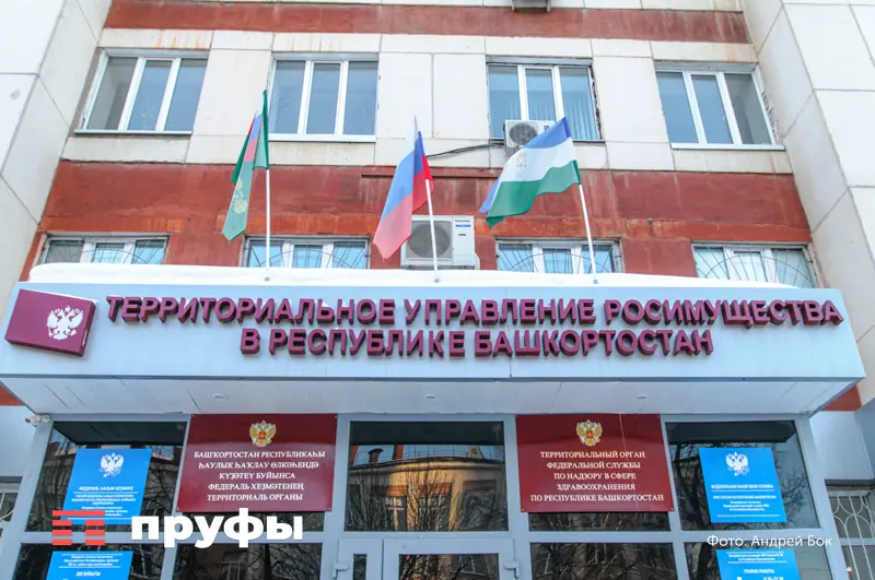 Как передать квартиру единственному наследнику без лишних рисков