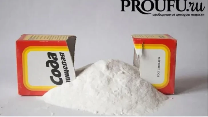 Башкирии остается контрольный пакет: в БСК прокомментировали передачу части компании «Русскому водороду»