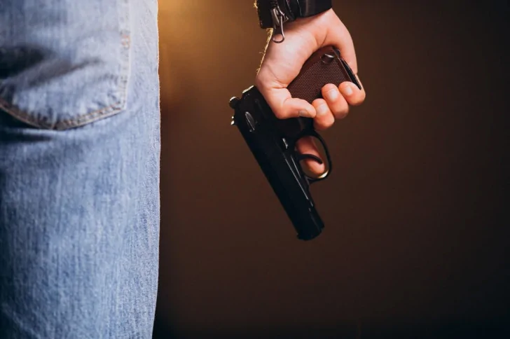 У родителей с девиантным поведением предлагают конфисковать оружие