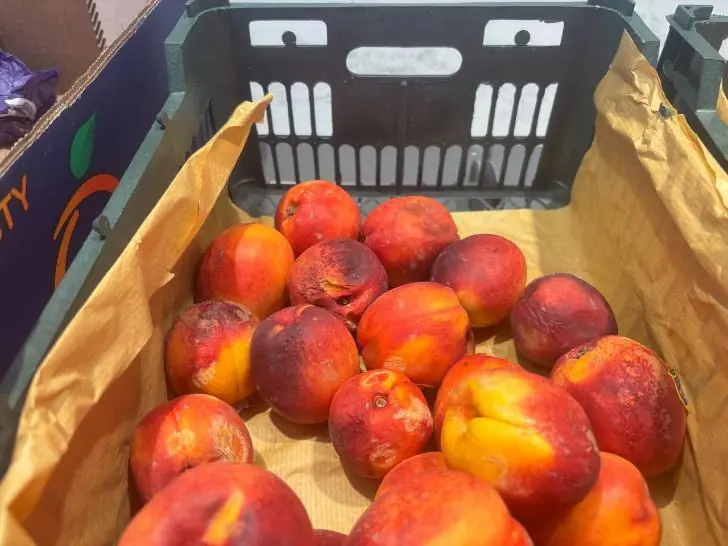 «Воняет бедностью». Почему я покупаю гниль и одеваюсь как бомж в уфимских «нищемаркетах»