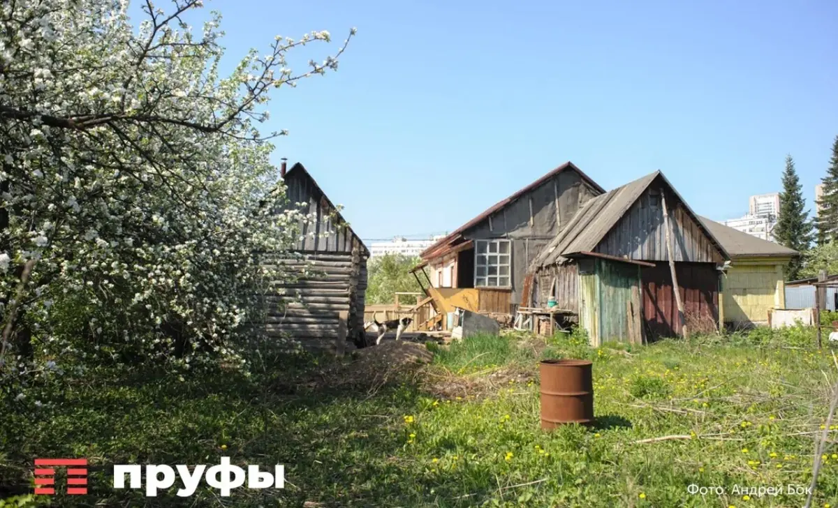 Как победить слизней без химикатов: народная ловушка с кефиром