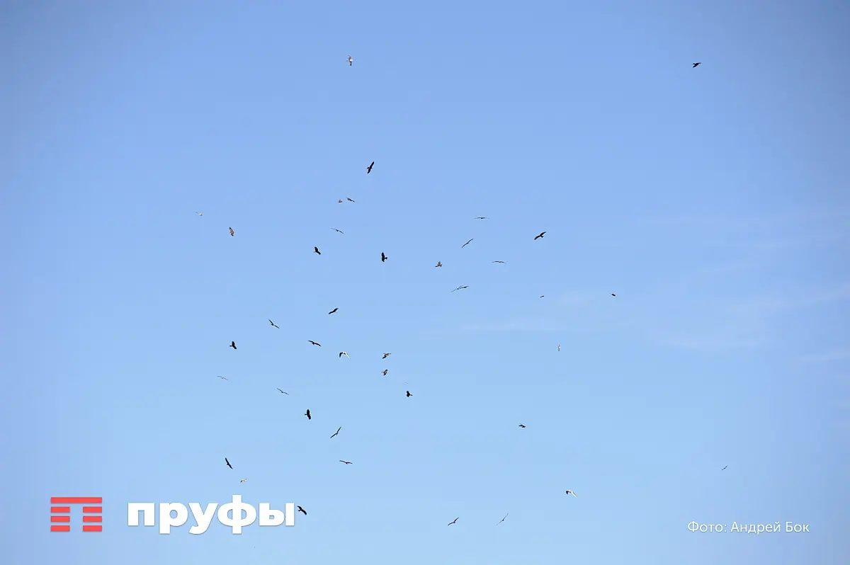 В Башкирии начала действовать угроза украинских беспилотников