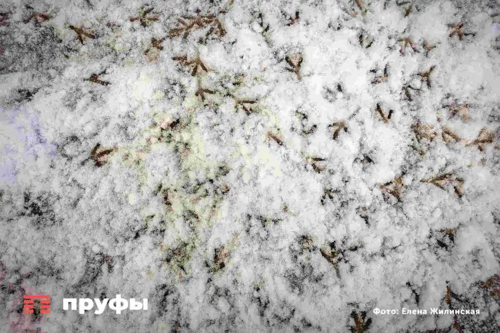 Башкирию накроет мокрый снег, а дороги покроет лёд