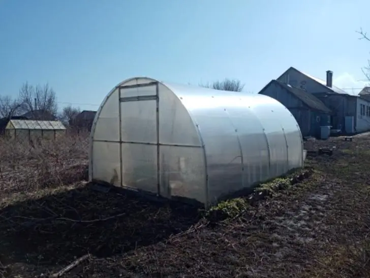 С 1 ноября - бегом в сад! Готовим посадки к заморозкам, спасаем стволы и правильно закрываем теплицу