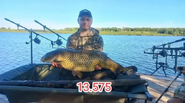 Рыбак поймал гигантского карпа весом 13,5 кг на пруду в Башкирии