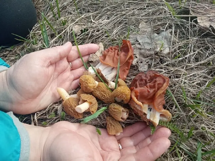 «Тихая охота» обернулась кошмаром с клещом Валерой и маньяком Эдуардом в Башкирии