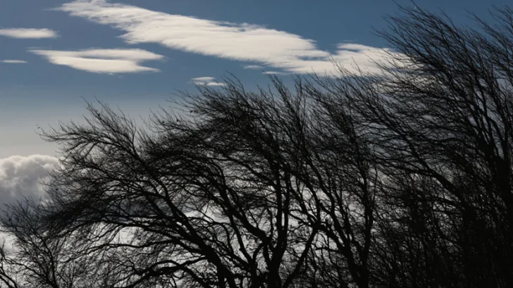 В Уфе объявили штормовое предупреждение из-за шквалистого ветра