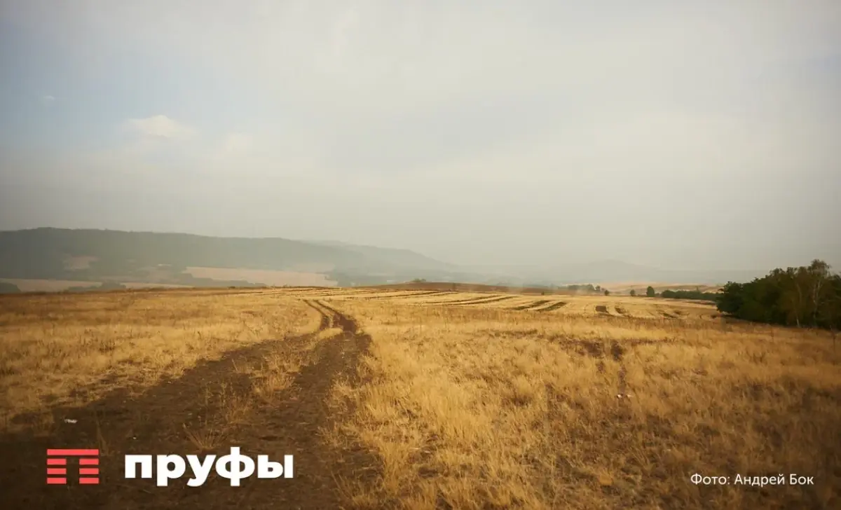 Башкортостан бьет рекорды по сахару, а Татарстан борется с осадками: как проходит уборочная кампания
