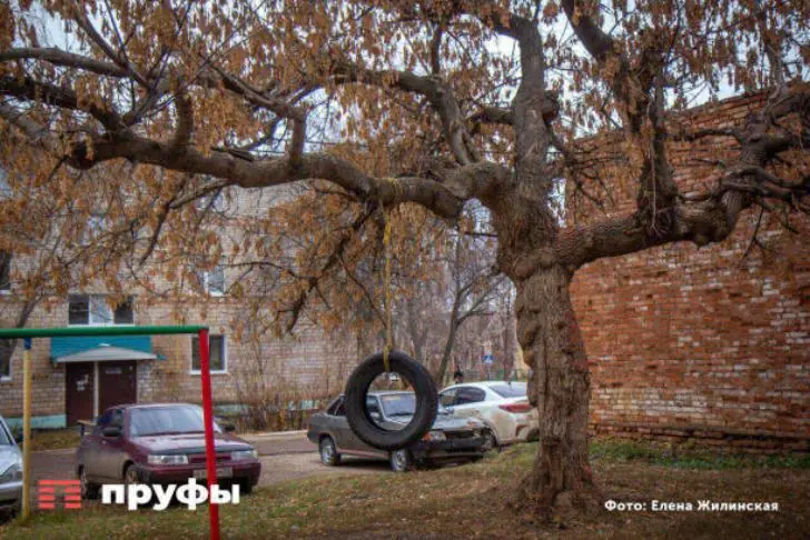 В республике изучат доходы и оценят здоровье граждан