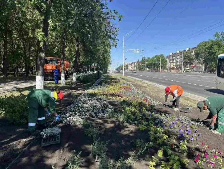 В Уфе начали высаживать 900 000 однолетних цветов 