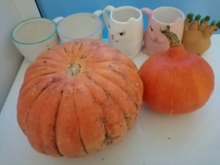 Хеллоуин или Тыквенный Спас в 2025 году? Подготовка к празднику, традиции, обряды, приметы