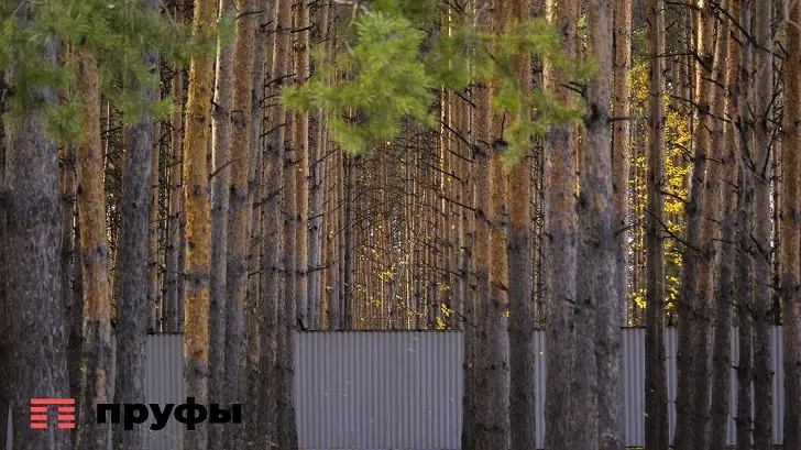 Телевидение за казенный счет: за 133 тыс. рублей подключат ТВ для дачи Хабирова и других гособъектов