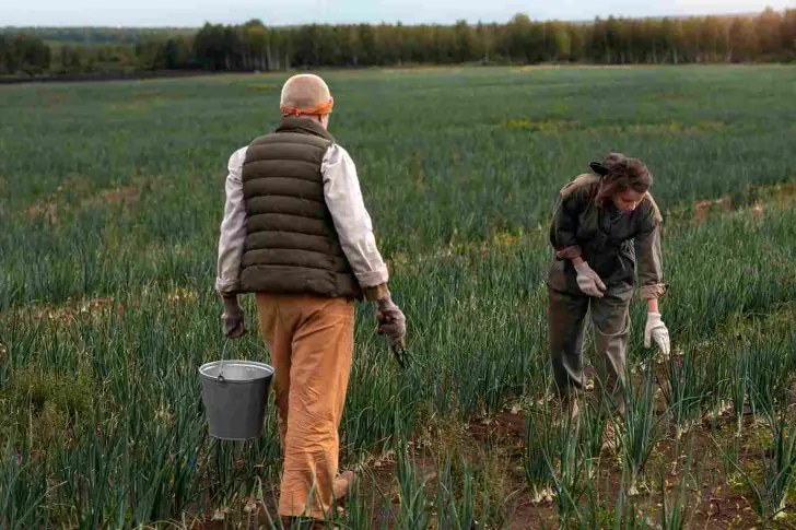 Миллиарды тратятся, а сельское хозяйство загибается: эксперт из Башкирии обнаружил новую проблему