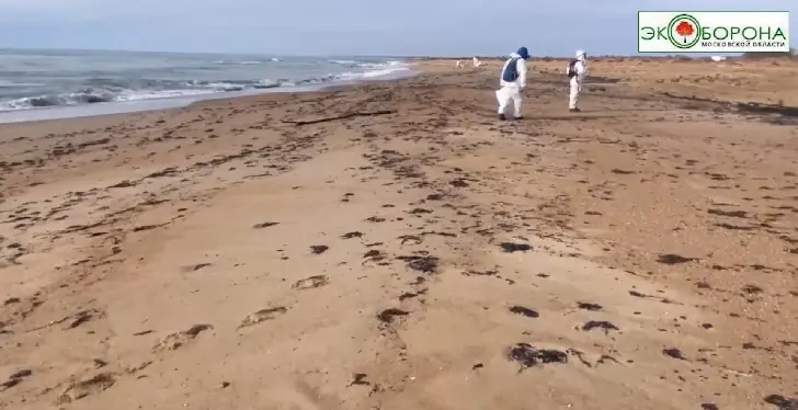 Экологи о Черном море в 2025 году: отдыхать можно, но есть подводные камни