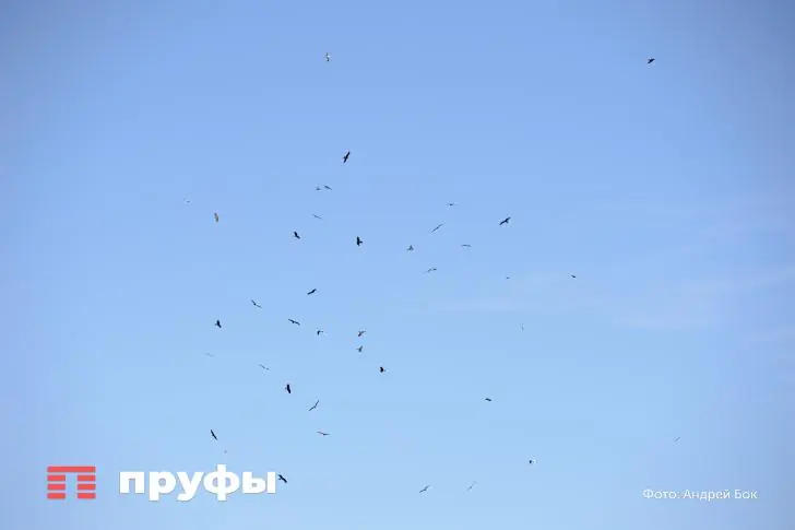 БПЛА загнали самолёты в аэропорт Уфы